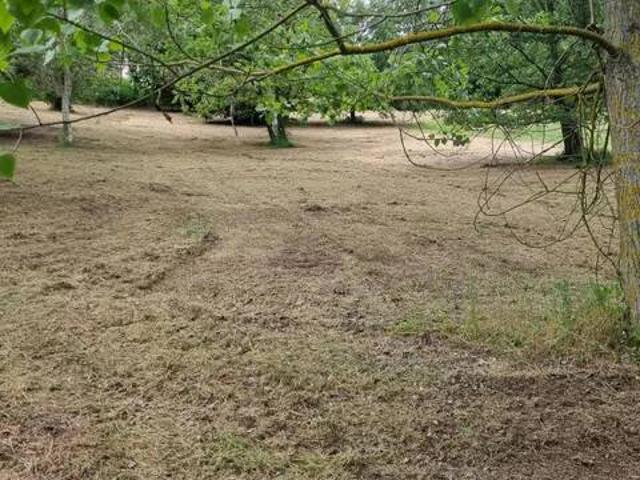 Terreno in vendita a Rocchetta Palafea AT