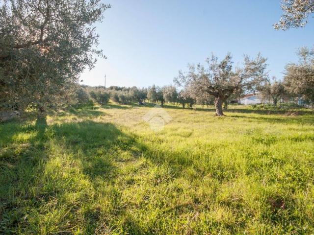 Terreno in vendita a Roseto degli Abruzzi TE