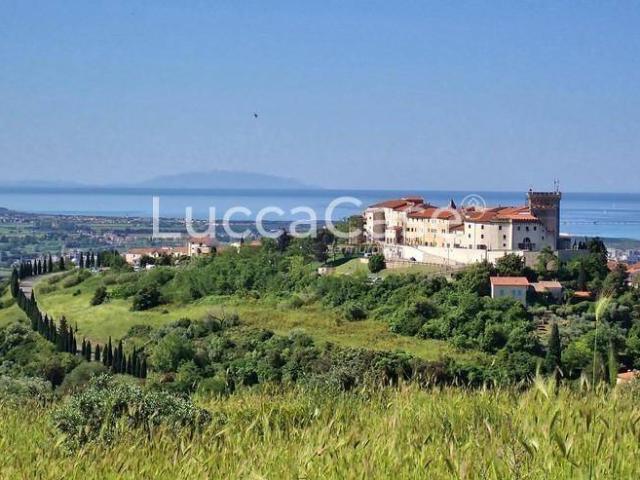 Terreno in vendita a Rosignano Marittimo LI