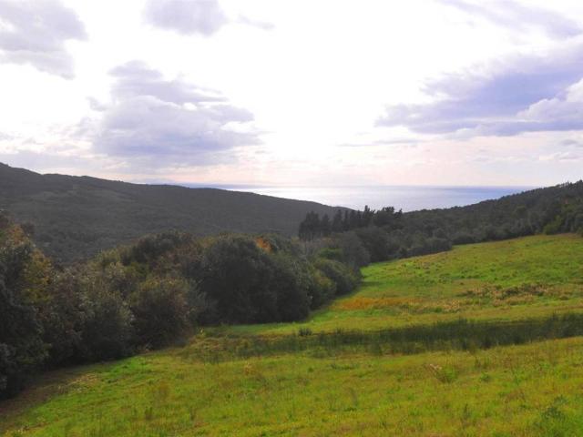 Terreno in vendita a Rosignano Marittimo LI