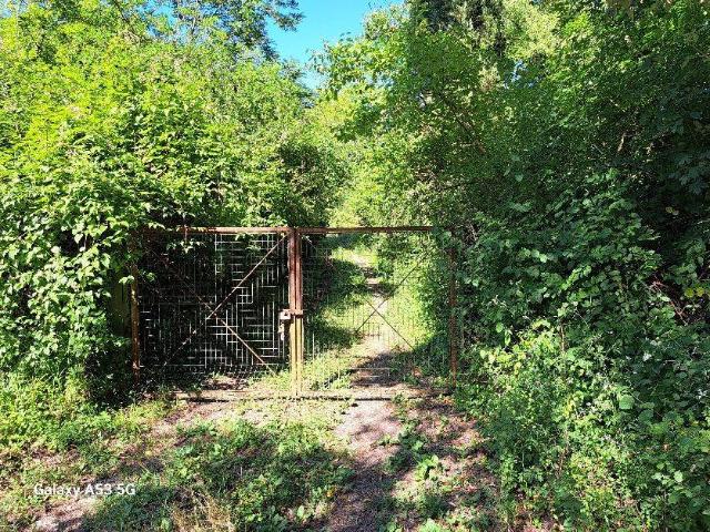 Terreno in vendita a Rosignano Marittimo LI