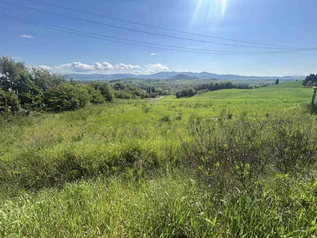 Terreno in vendita a Rosignano Marittimo LI