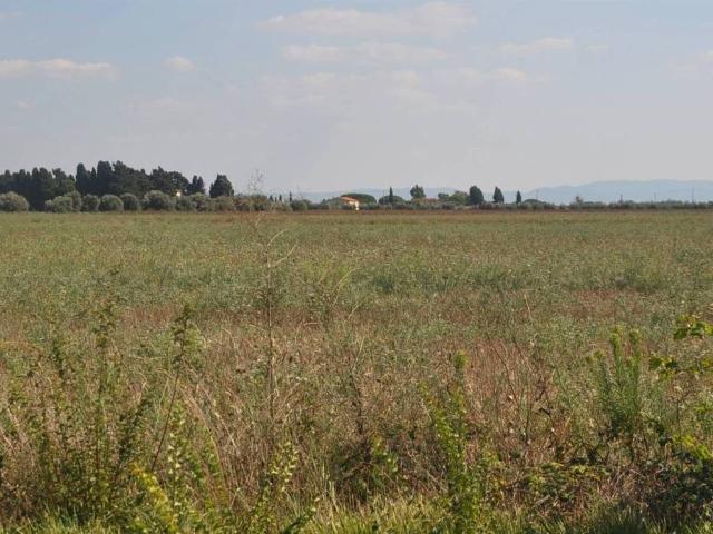 Terreno in vendita a Rosignano Marittimo LI