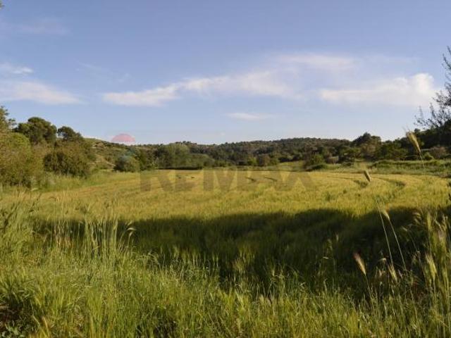 Terreno in vendita a Rosolini