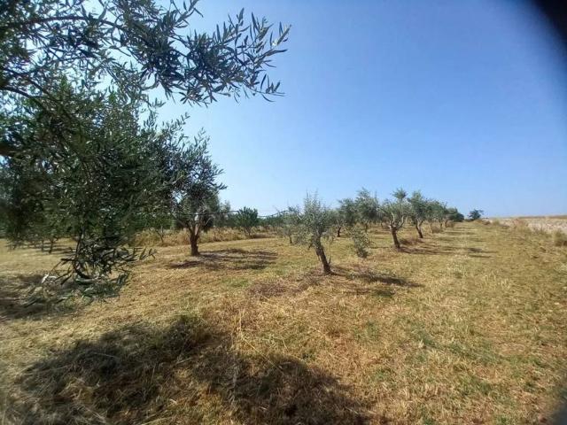 Terreno in vendita a Rosolini SR