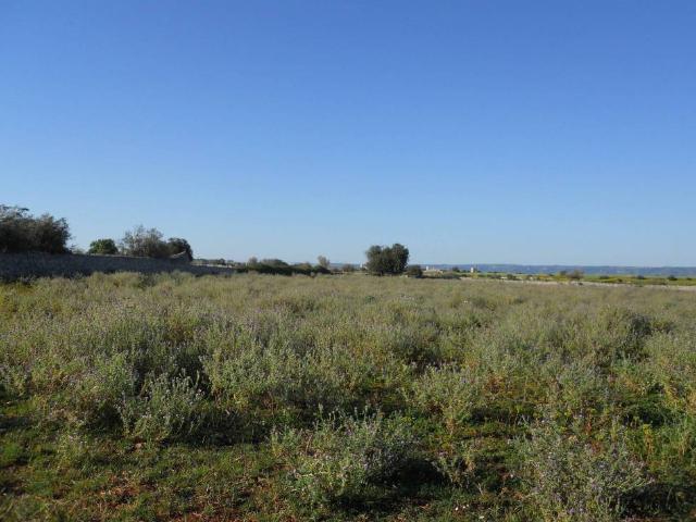 Terreno in vendita a Rosolini SR