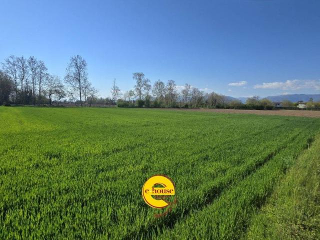 Terreno in vendita a Rossano Veneto VI