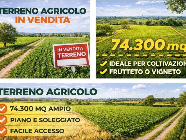 Terreno in vendita a Rovigo RO