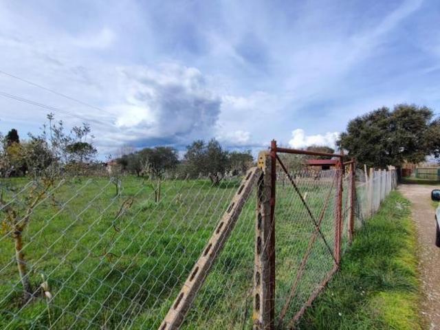 Terreno agricolo in vendita a Rugginosa Poggetti Vecchi Grosseto 1000 mq Rif: 1249865