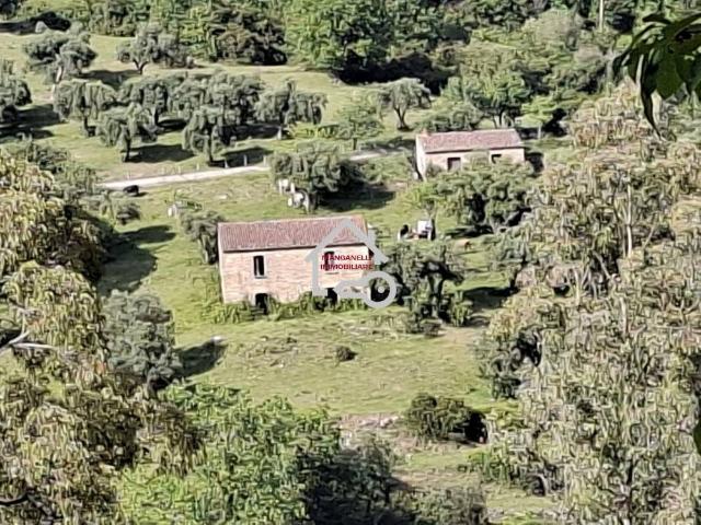Terreno in vendita a Rutino SA