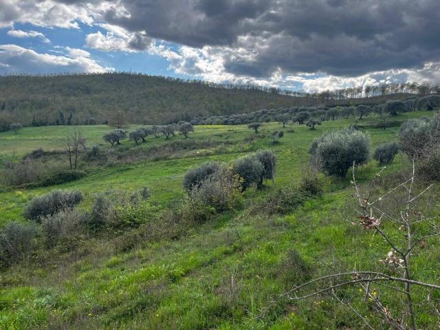 Terreno in vendita a Ruviano CE