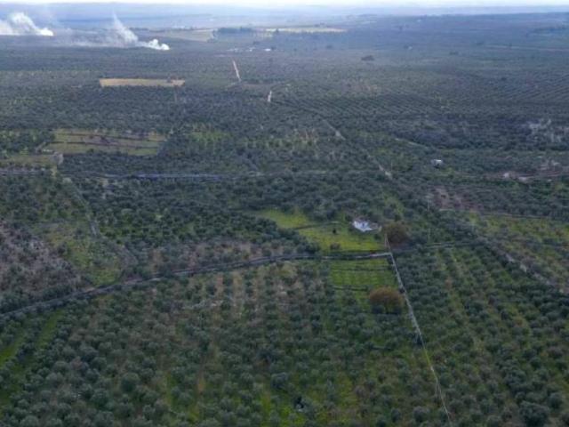 Terreno in vendita a Ruvo di Puglia BA