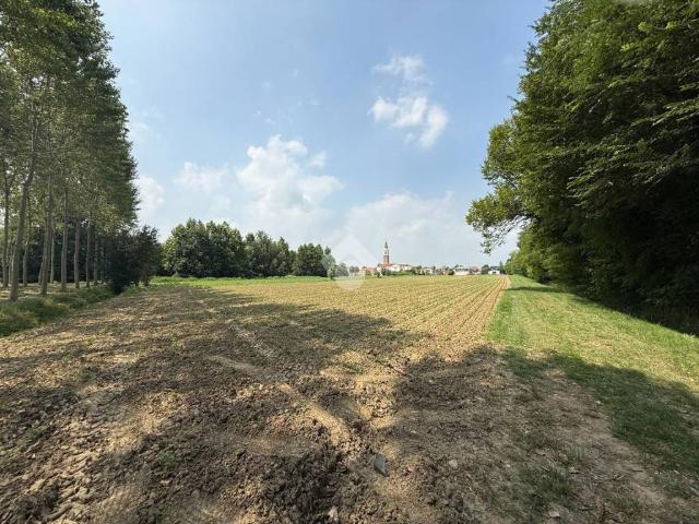 Terreno in vendita a Scorzè VE
