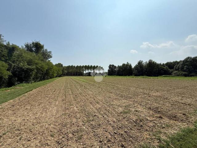 Terreno in vendita a Scorzè VE