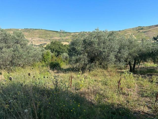Terreno in vendita a Scafa PE