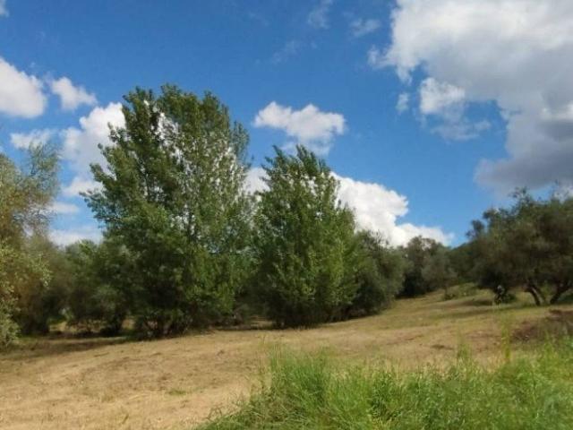 Terreno in vendita a Scandicci FI