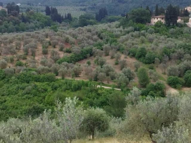 Terreno in vendita a Scandicci FI