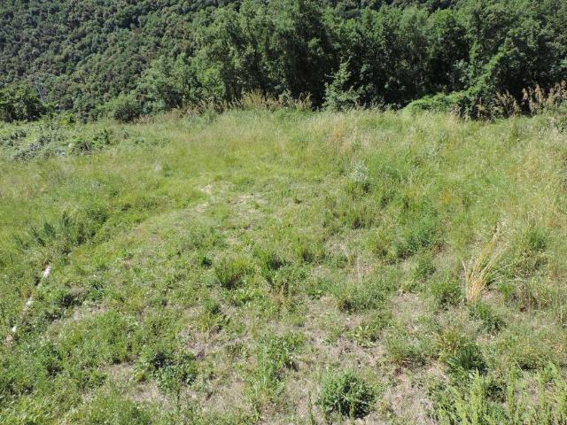 Terreno in vendita a Scandriglia RI