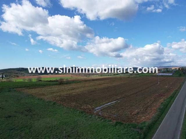 Terreno in vendita a Scansano GR