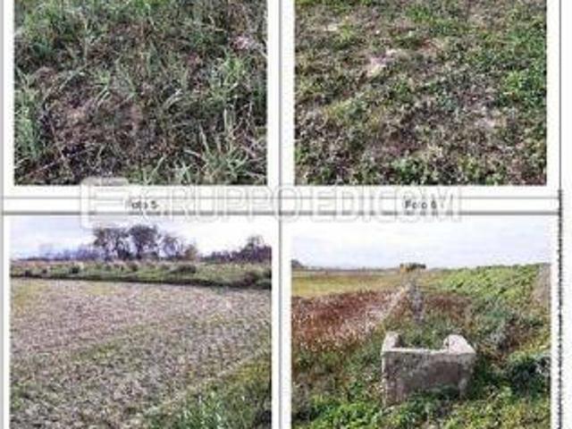 Terreno in vendita a Scanzano Jonico Rif. 4550233