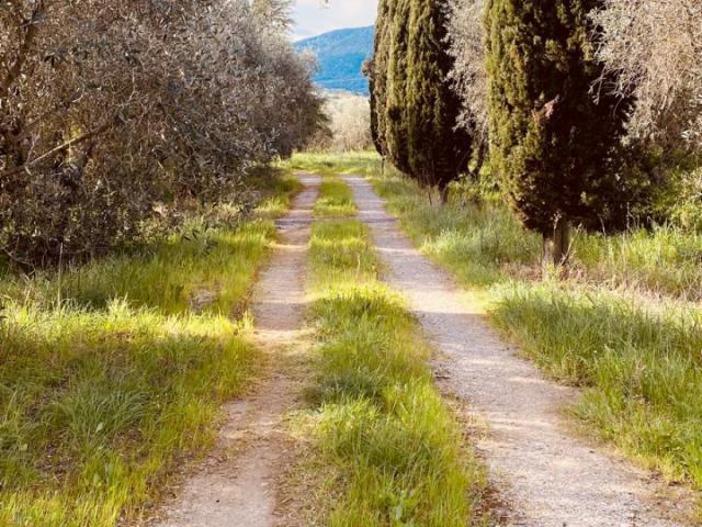 Terreno in vendita a Scarlino