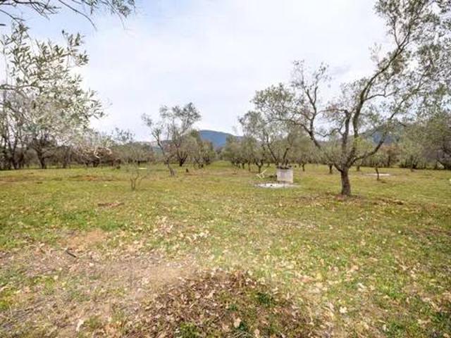 Terreno in vendita a Scarlino GR