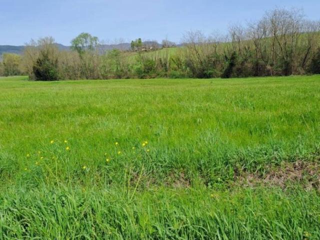 Terreno in vendita a Scarperia e San Piero FI