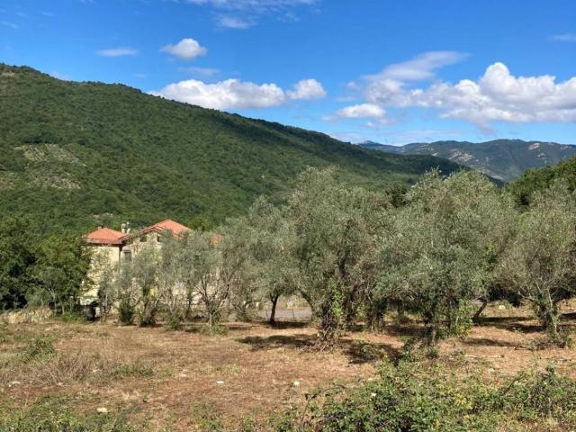 Terreno in vendita a Sambuci RM