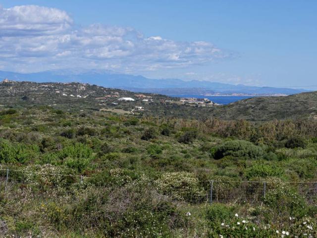 Terreno in vendita a Santa Teresa Gallura SS