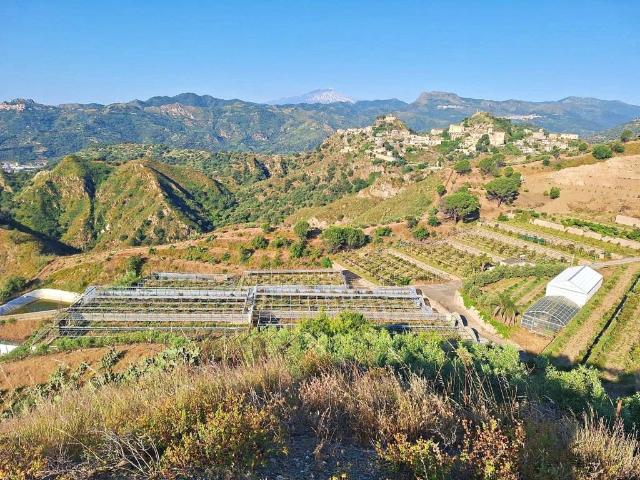 Terreno in vendita a Santa Teresa di Riva ME