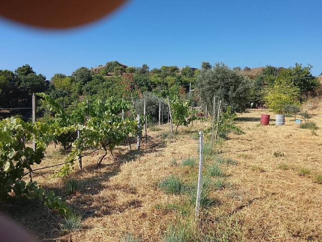 Terreno in vendita a Santa Teresa di Riva ME