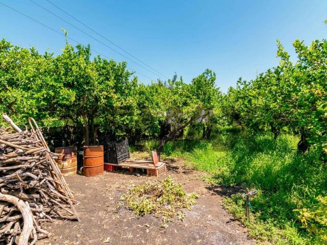 Terreno in vendita a Santa Venerina CT