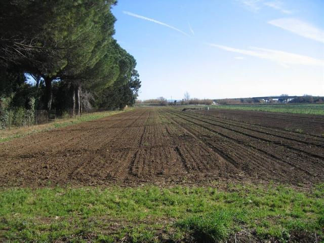 Terreno in vendita a Santa Giustina in Colle PD