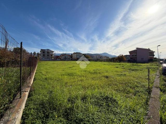 Terreno in vendita a Santa Maria del Cedro CS