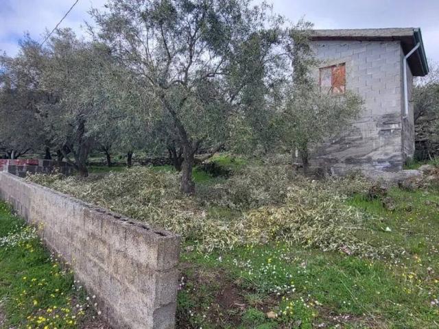 Terreno in vendita a Santa Maria di Licodia CT