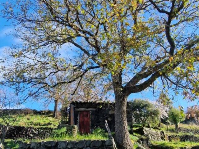 Terreno in vendita a Santa Maria di Licodia CT