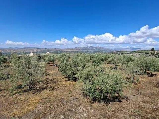 Terreno in vendita a Santa Maria di Licodia CT
