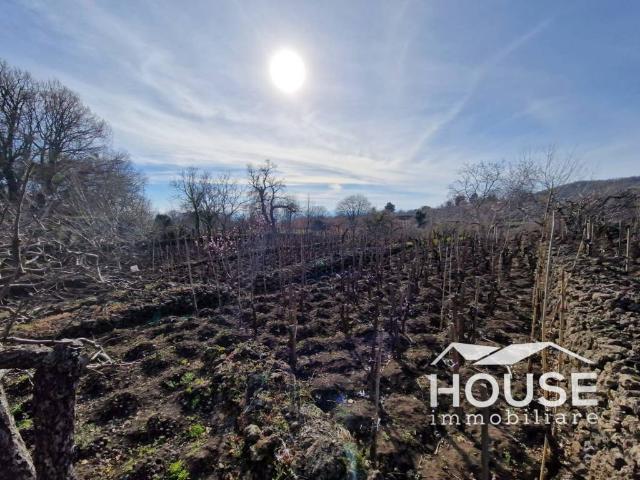 Terreno in vendita a Santa Maria di Licodia CT