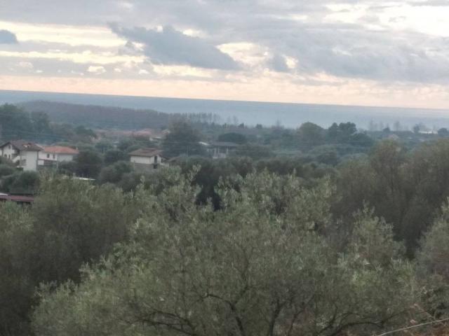 Terreno in vendita a Santa Marina SA
