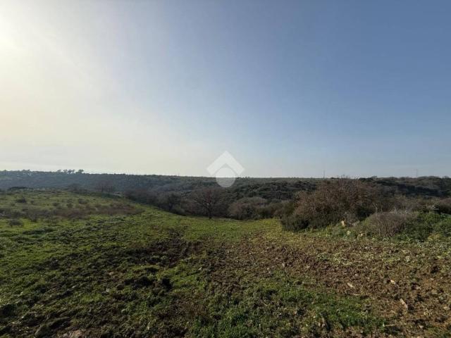 Terreno in vendita a Santa Marinella RM