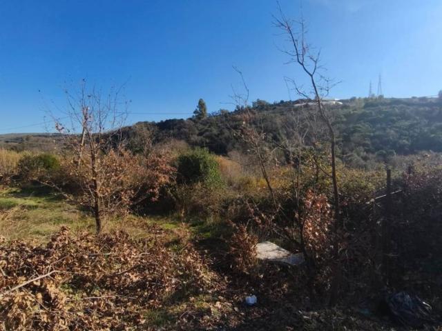 Terreno in vendita a Santa Marinella RM