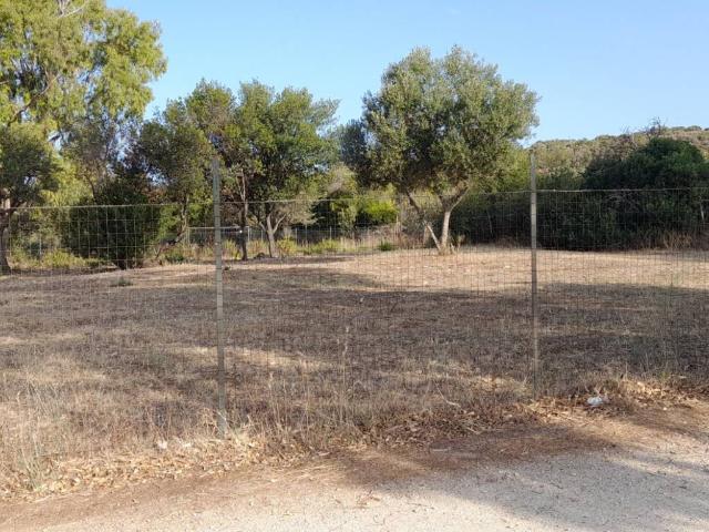Terreno in vendita a Santa Marinella RM