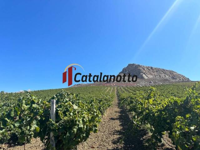 Terreno in vendita a Santa Ninfa TP