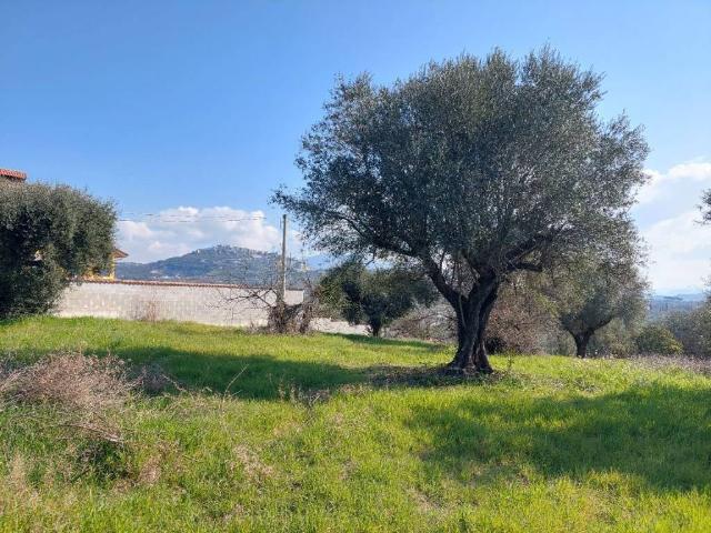 Terreno in vendita a Sant'Angelo Romano RM