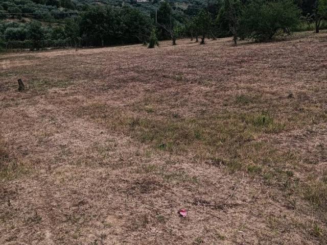 Terreno in vendita a Sant'Angelo Romano RM