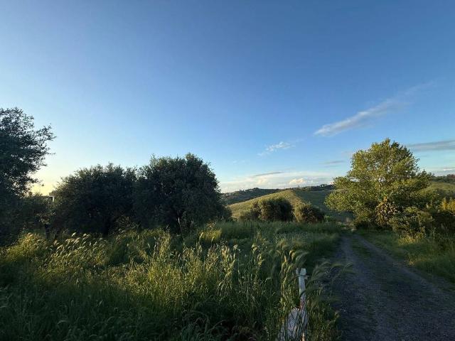 Terreno in vendita a Sant'Angelo Romano RM