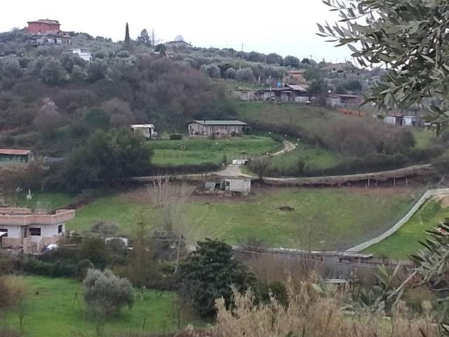 Terreno in vendita a Sant'Angelo Romano RM
