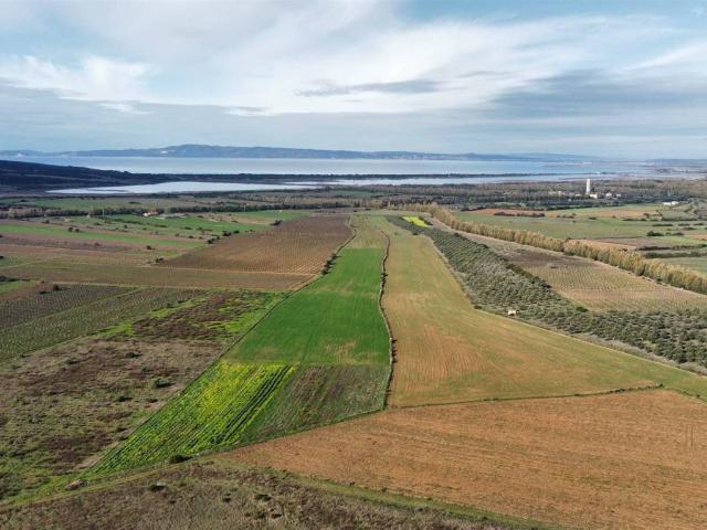 Terreno in vendita a Sant'Anna Arresi SU