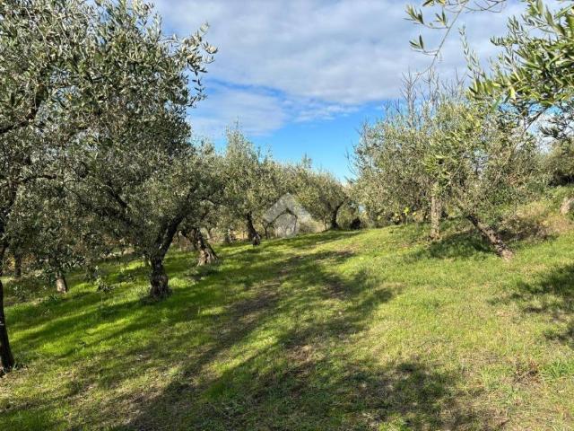 Terreno in vendita a Sant'Agata de' Goti BN