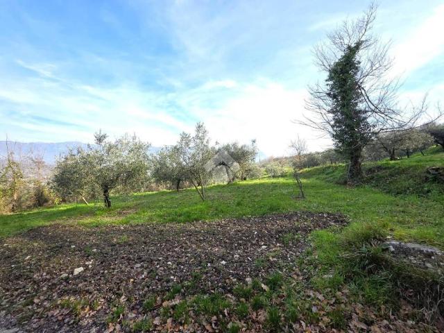 Terreno in vendita a Sant'Agata de' Goti BN